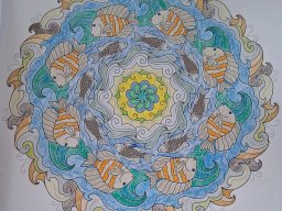 whatsapp bild 2025-07-08 um 11.32.36_a9dc3e71